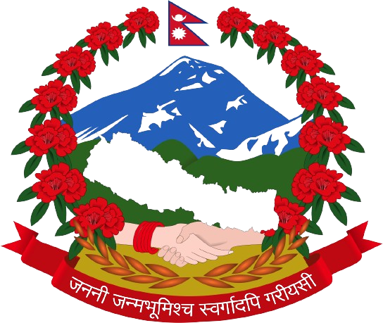 Api